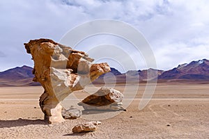 Stone Tree rock formation in Bolivia
