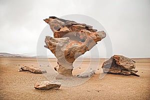 stone tree, rock formation of Bolivia.