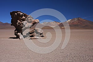 Stone tree in Siloli Desert photo