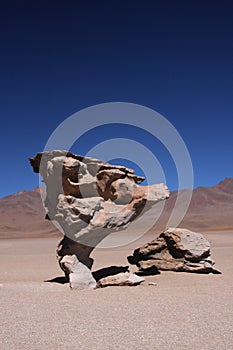 Stone tree in Siloli Desert photo