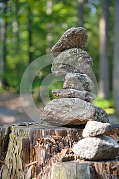 Stone turrets on tree stump