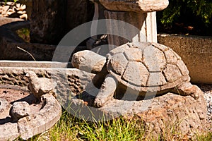 Stone Turtle in the garden
