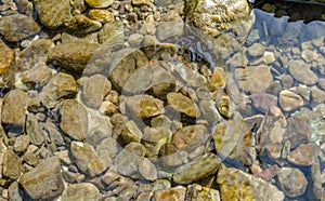 Stone under crystal clear water of  Ganga River