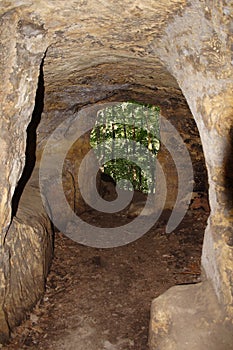 Stone underpass with opening of trees.