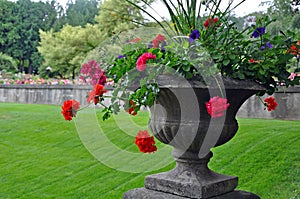Stone vase with begonias photo
