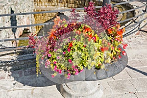 Stone vase with flowers and underground small river. Kosice, Slovakia.