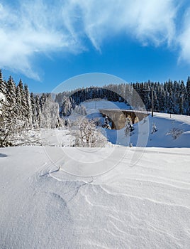 Stone viaduct (arch bridge) on railway through mountain snowy fir forest.