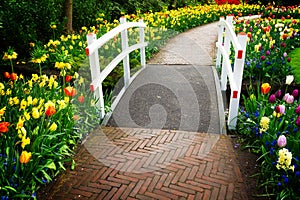 Stone walk way in garden