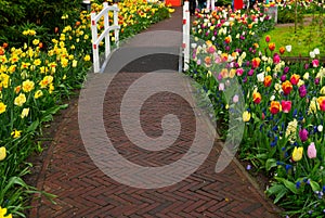 Stone walk way in garden