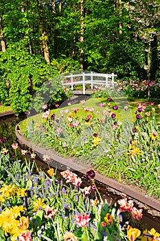 Stone walk way in garden