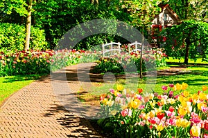 Stone walk way in garden