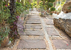 Stone walk way path in the park backyard background.