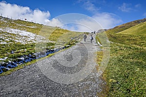 Stone walk way to alp mountain with people hiking, green grass a