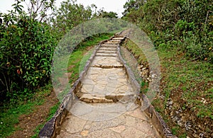 Stone Walking Path in the Light Rain to Kuelap Archaeological Site, Amazonas Region, Northern Peru