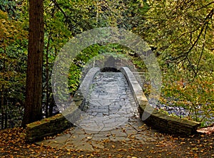 Stone Walkway