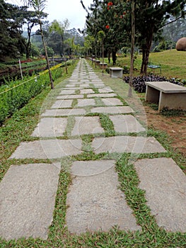 Stone walkway in Blossom Hydel Park, Kerala, India