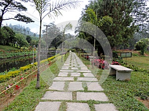 Stone walkway in Blossom Hydel Park, Kerala, India