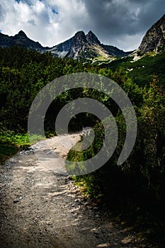 A stone walkway into the dark mountain valley