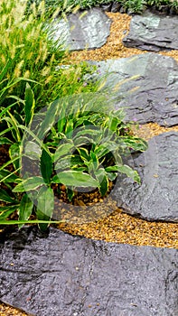 Stone walkway decoration in cozy home flower garden.