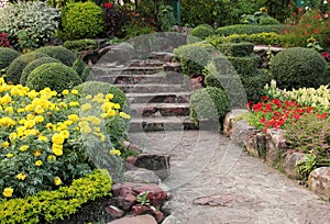 Stone walkway in flower garden