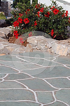 Stone walkway with flowers