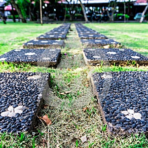 Stone walkway with flowers decoration in the garden