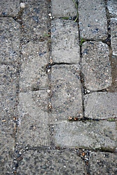 Stone walkway in Fort San Pedro, Cebu City, Philippines