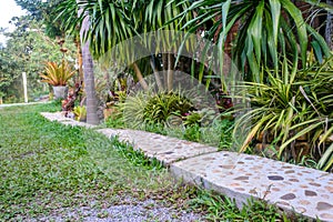 Stone walkway in the garden