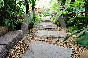 Stone walkway in garden step stone in gravel photo