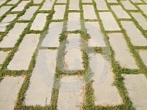 Stone walkway on a grassy field