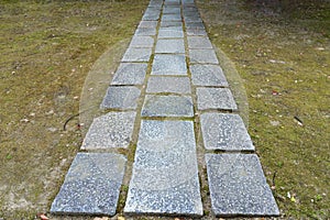 Stone walkway and green grass lawn in perspective view