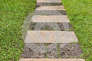 Stone walkway inside the green lawn