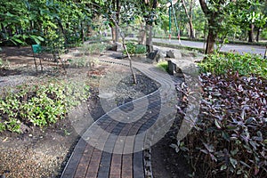 Stone walkway in the outdoor green garden
