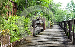 Stone walkway in the park with green grass