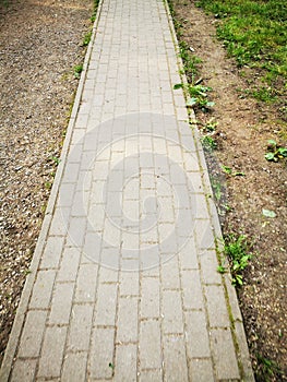 Stone walkway in the park with green grass - retro vintage effect