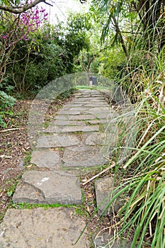 Stone Walkway in spring