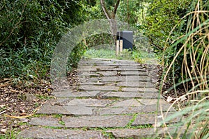 Stone Walkway in spring