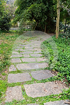 Stone Walkway in spring
