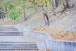 Stone walkway stairs track in the park