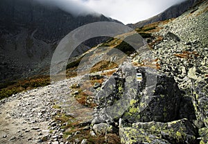 Stone walkway up to the mist