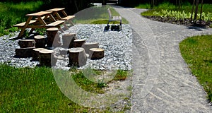 Stone walkways through a nature park made of irregular pieces. There are scabs on the pavement and around there are logs on which