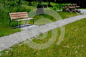 Stone walkways through a nature park made of irregular pieces. There are scabs on the pavement and around there are logs on which