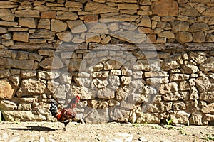 Stone wall 20