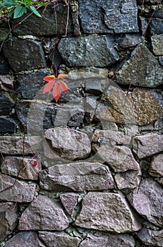 Stone wall, ancient, background stone texture