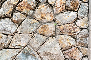 Stone wall background and texture with green weed