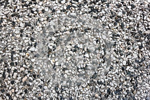 Stone wall background texture. Pebble texture in concrete, small pebbles on the wall.