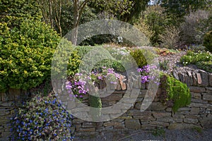 Stone wall backing to colourfull borders and woodland