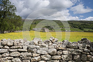 Stone Wall and barn, Swaledale, Yorkshire Dales