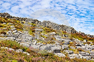 Stone wall in Burren way