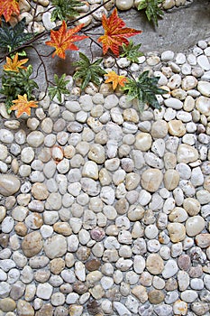 Stone wall and colorful of leaf